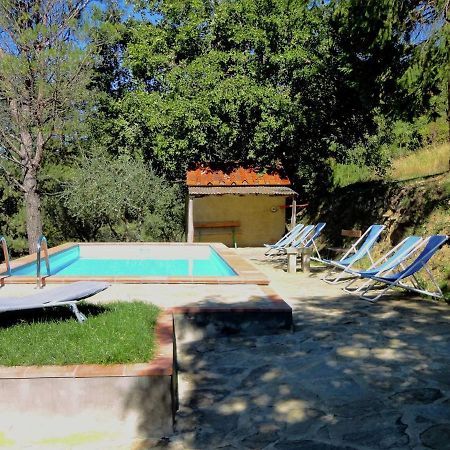 Belvilla By Oyo Flat In Farmhouse With Pool Pian Di Sco Luaran gambar